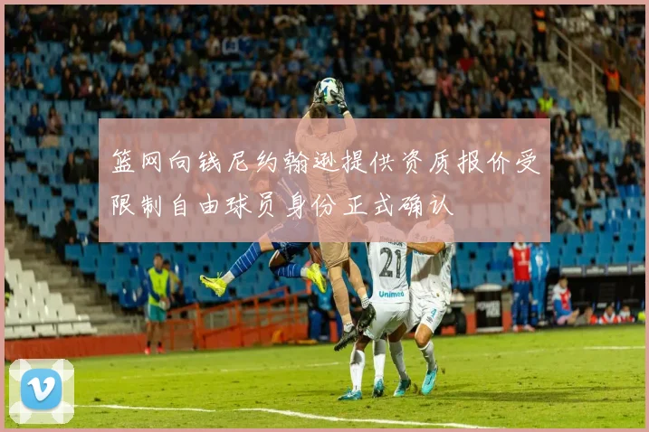 篮网向钱尼约翰逊提供资质报价受限制自由球员身份正式确认
