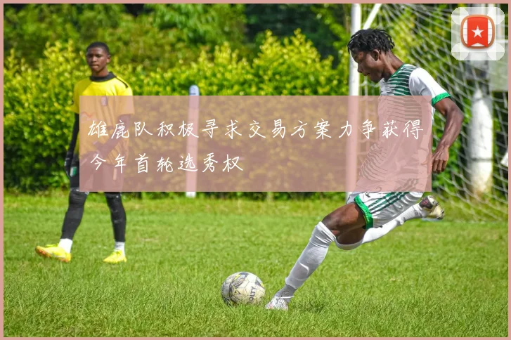 雄鹿队积极寻求交易方案力争获得今年首轮选秀权